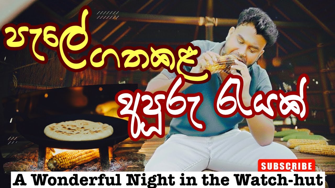 හිත නිවෙන පැලේ රැයක් සිරිපාල මාමා එක්ක | Overnight in a Traditional Farm Hut - Village Life