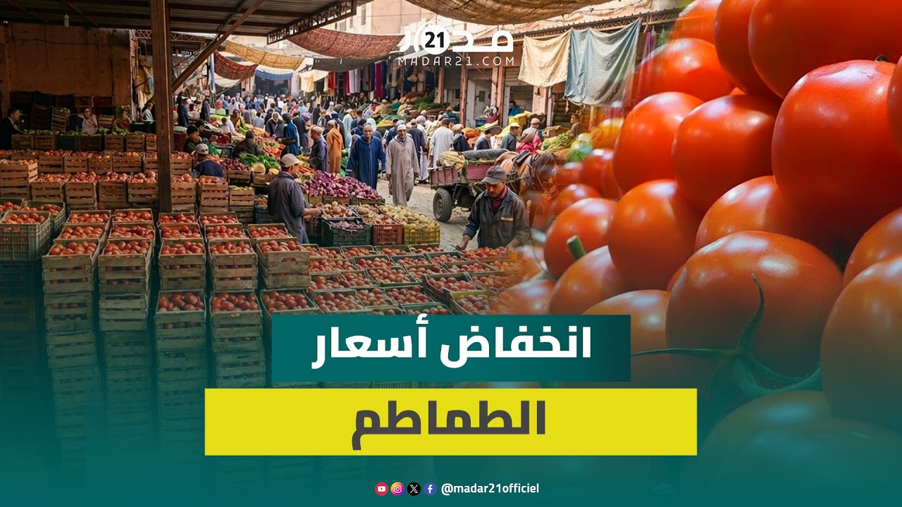 أسعار الطماطم بالجملة تنخفض بـ40 درهماً للصندوق وتجار يوضحون الأسباب