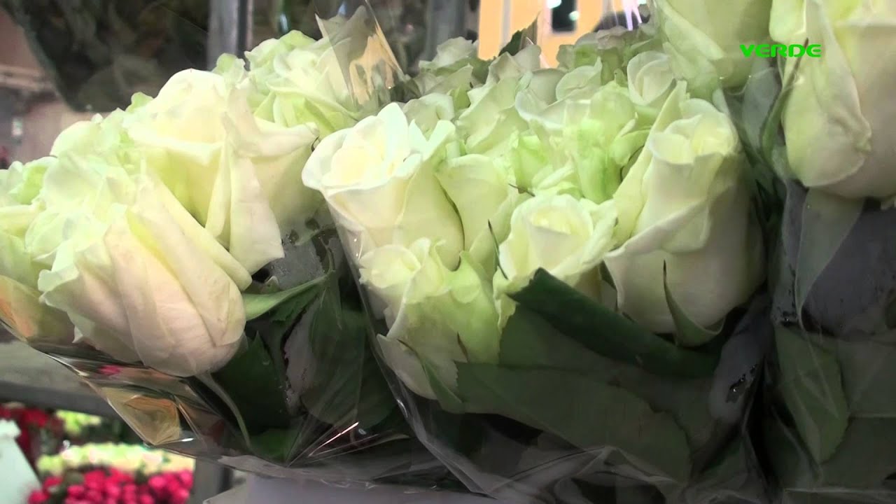 www.verdetv.tv - Terlizzi Mercato dei Fiori