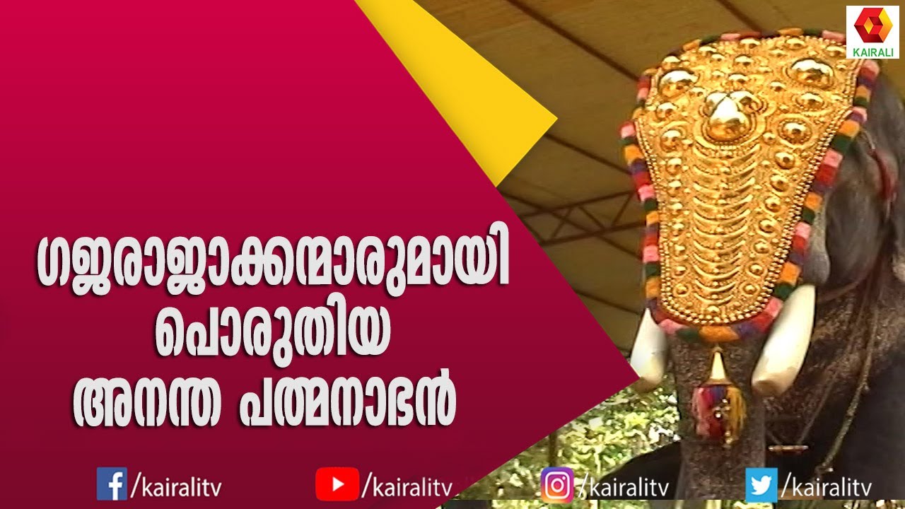 സൽസ്വഭാവം കൊണ്ട് പ്രിയപ്പെട്ടവനായ അനന്തപത്മനാഭൻ | Anantha Pathmanabhan | E for Elephant