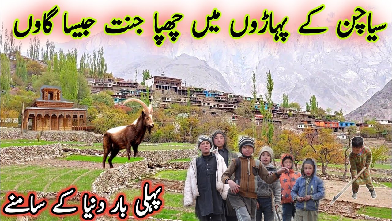 Amezing Village Life In Gilgit Baltistan | Peaceful and Natural Views Of My Village| Marzi Gond