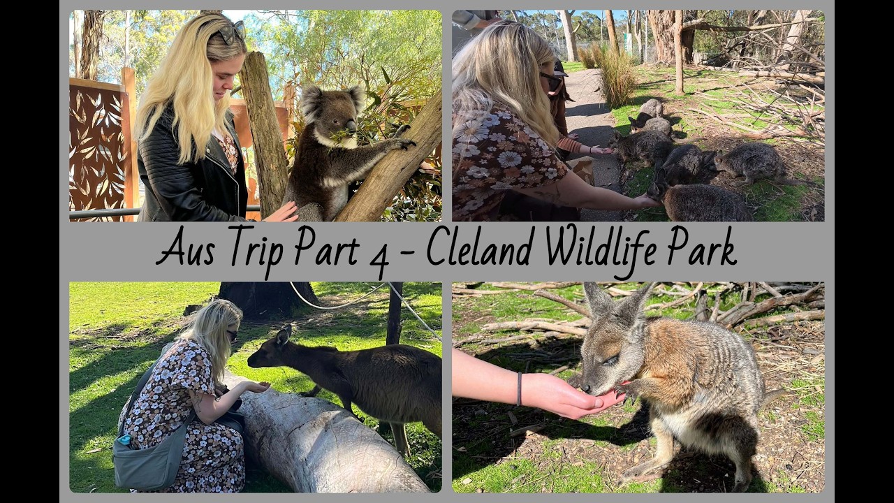 Aus Trip Part 4 // Cleland Wildlife Park