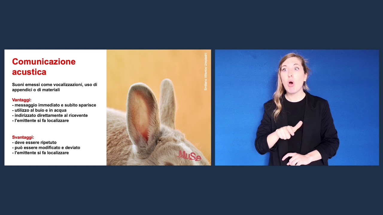 Sliding Science - La comunicazione animale *LIS