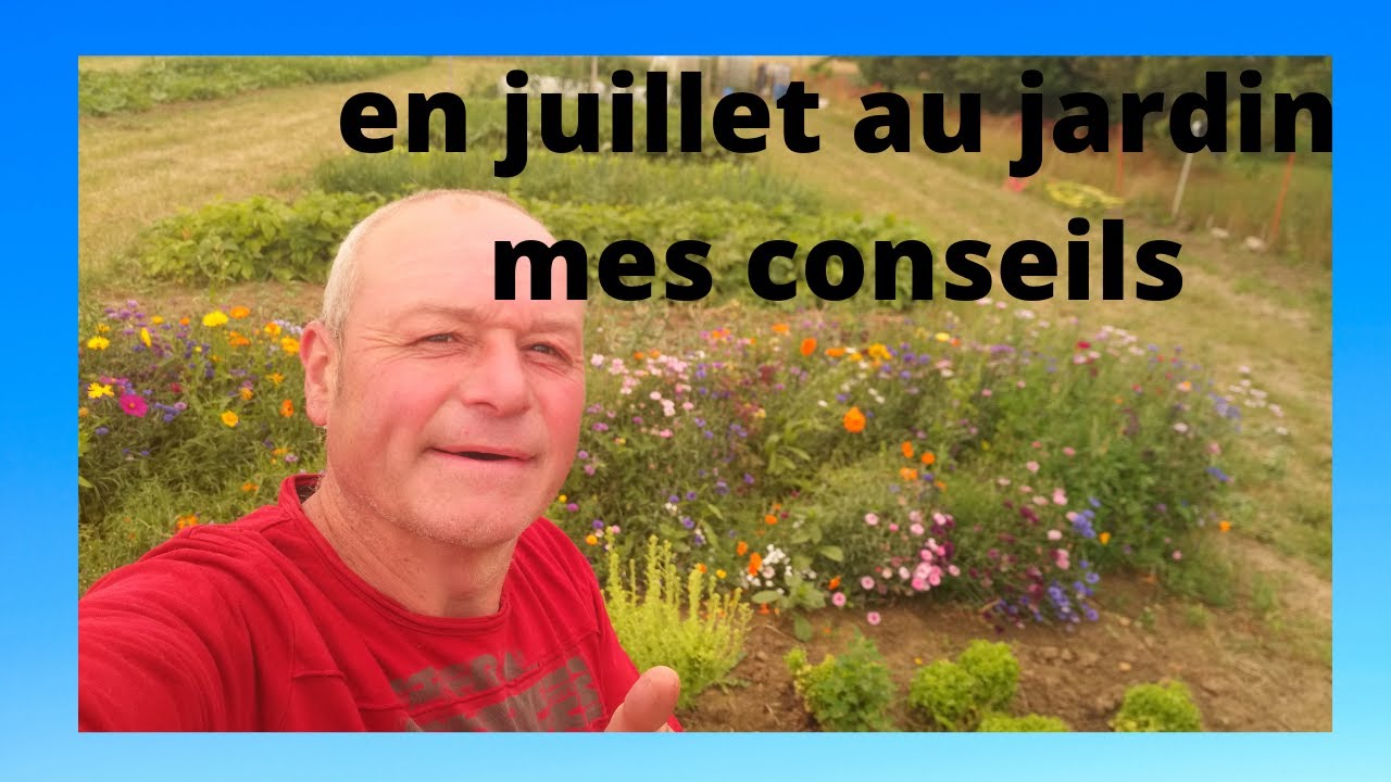 que faire en juillet au jardin