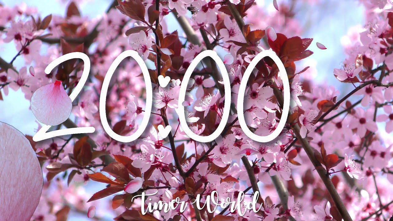 20 Minute SPRING Timer with Relaxing MUSIC, Cherry Blossom, Sakura  for Study, Class, Silent Alarm 🌺