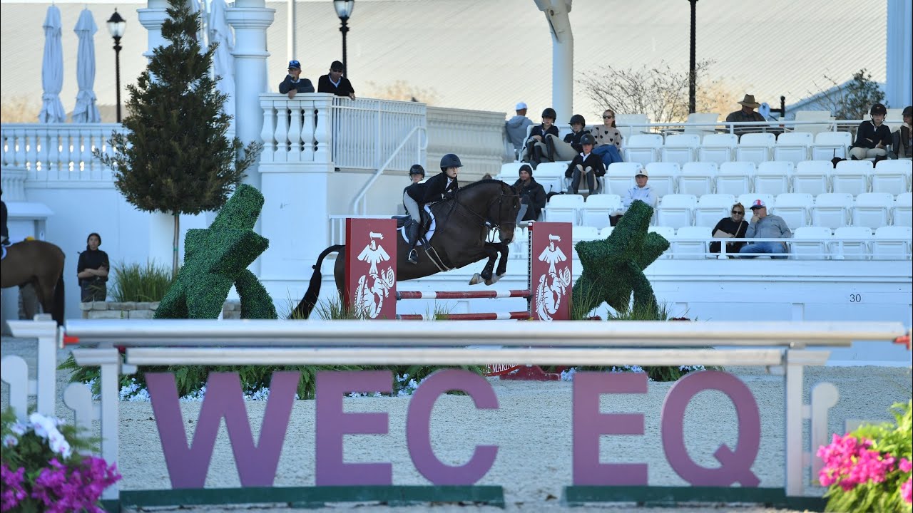 WEC Premiere Eq Cup Schooling Session Indy & Carsyn, Ocala Friday Feb, 6th, 2026