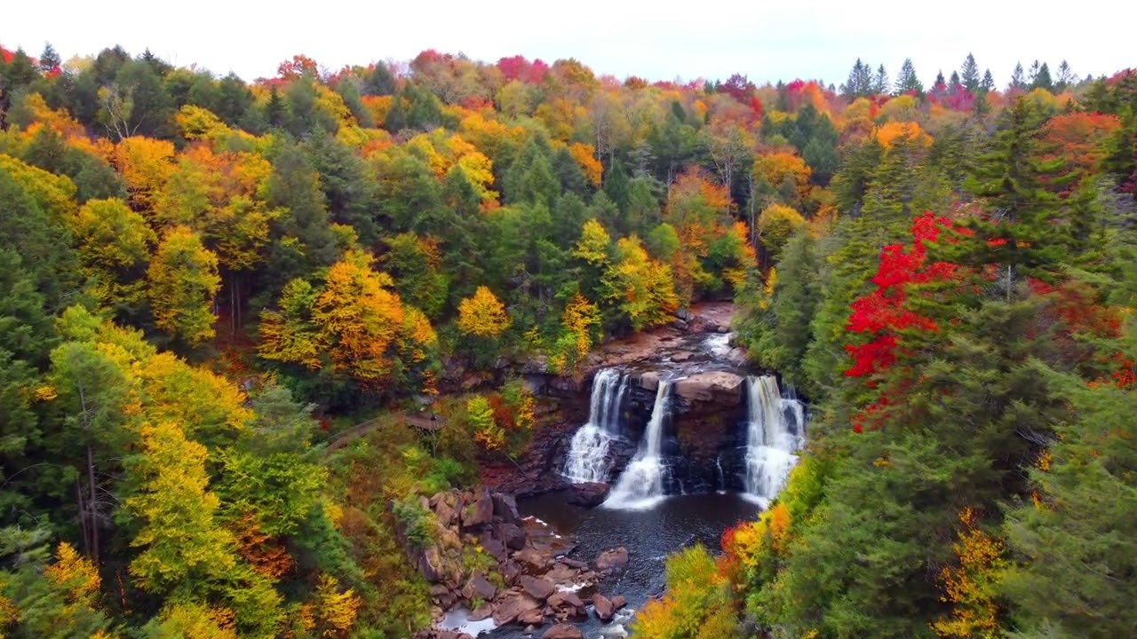 Blackwater Falls State Park, Davis West Virginia