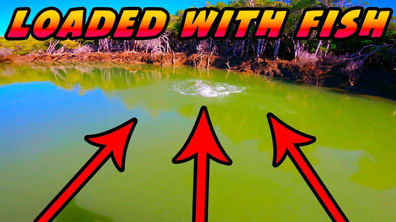 EPIC fishing with SIDE SCAN. Tell ME I'm WRONG!!!