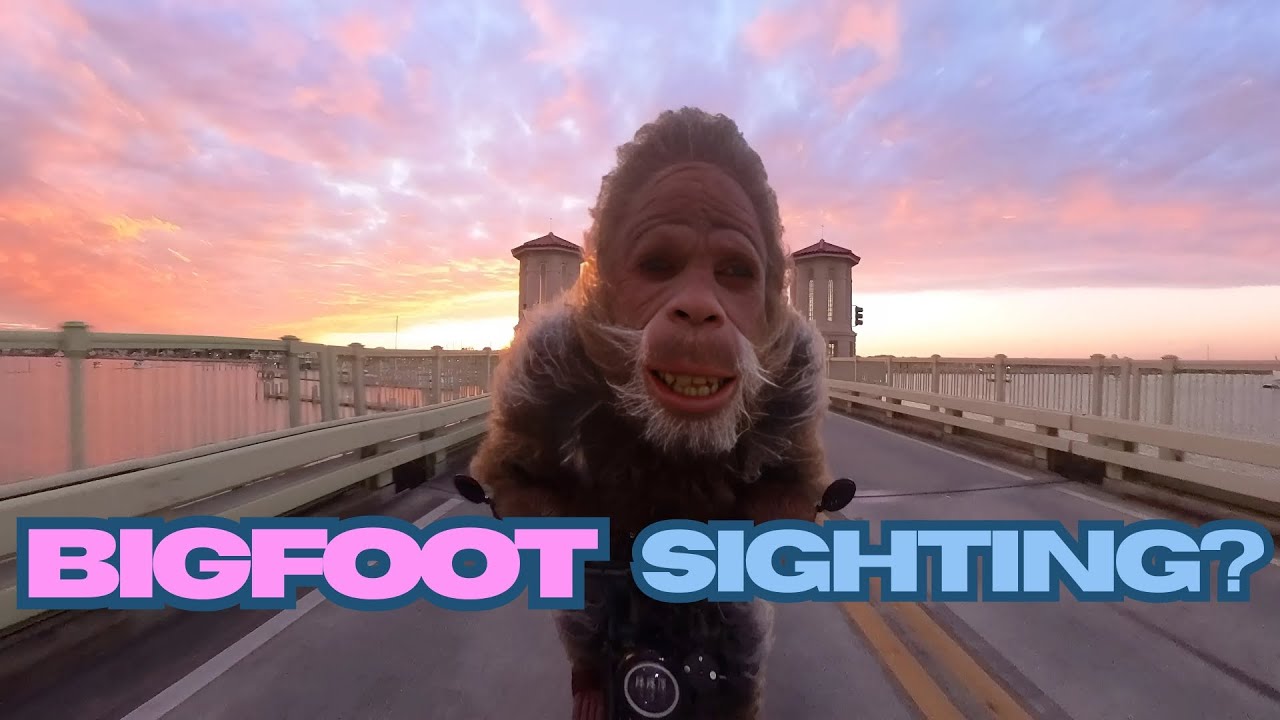 BIGFOOT in FLORIDA?! - MUST SEE!!