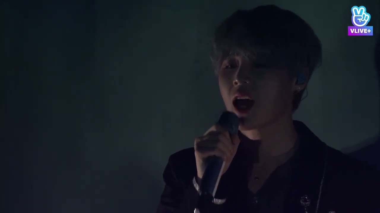 면역력 - 2019 하성운 1st Concert 'Dive in Color'