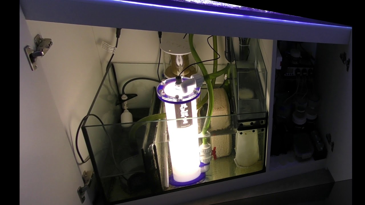 Nutrient Export using an ALR1 Algae Reactor