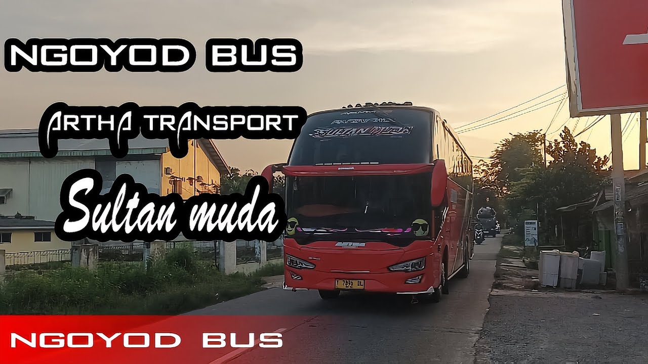 [NGOYOD BUS] NGOYOD BUS ARTHA TRANSPORT SULTAN MUDA SPESIAL 18+ NOT 🤩