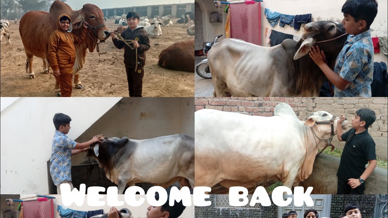 I'm back Bakraeid seosen 2026 series coming soon ♥️