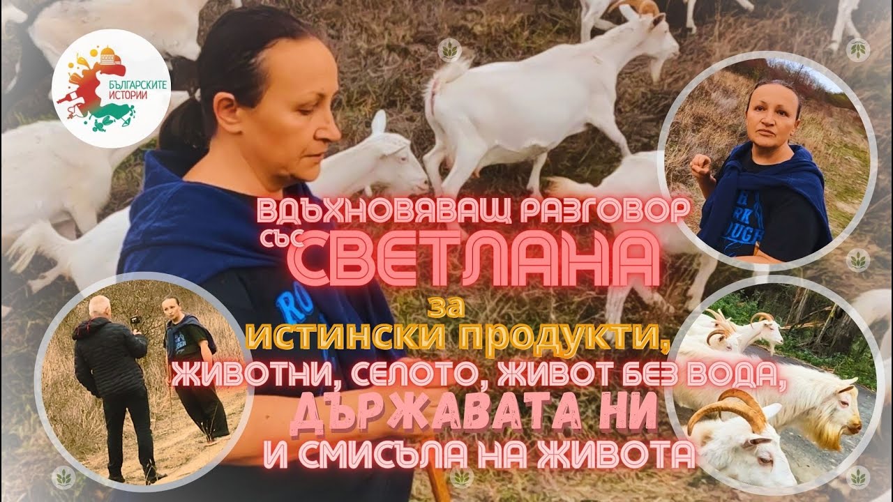 Только в Болгарии травы пахнут, говорит Светлана, которая делает настоящий сыр и косметику.