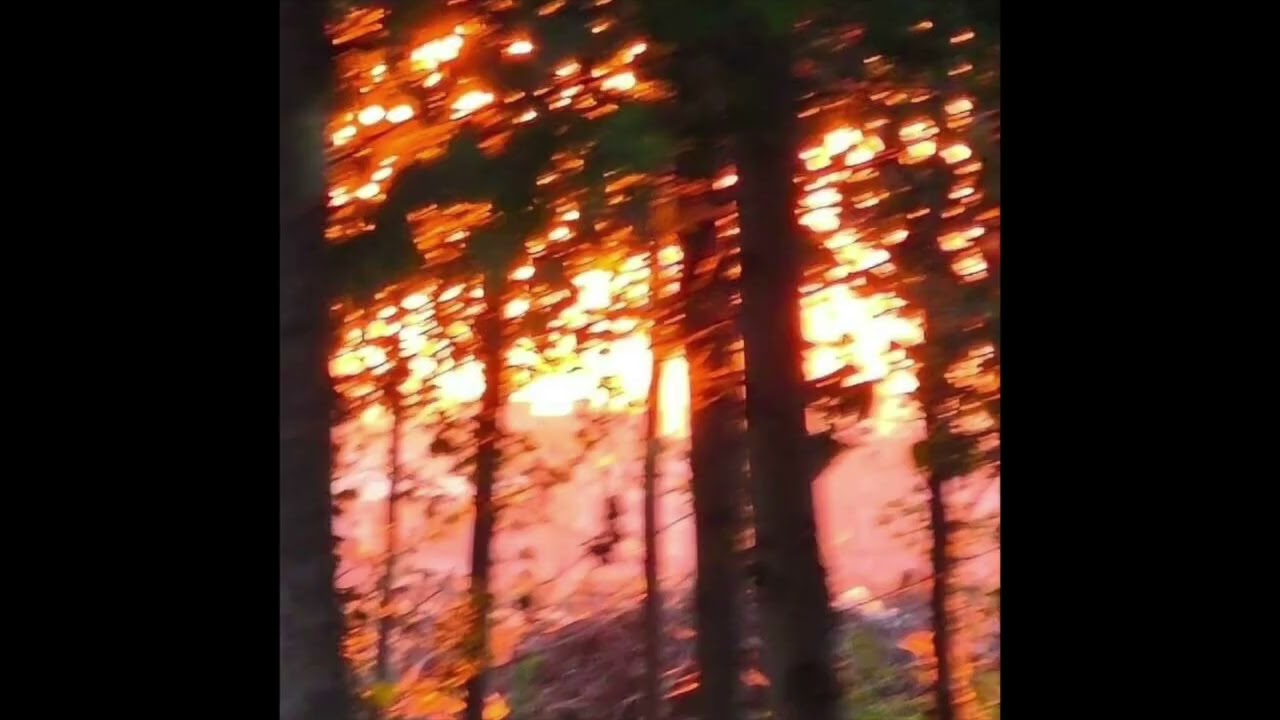 (free) *raw* sad indie ambient type beat 