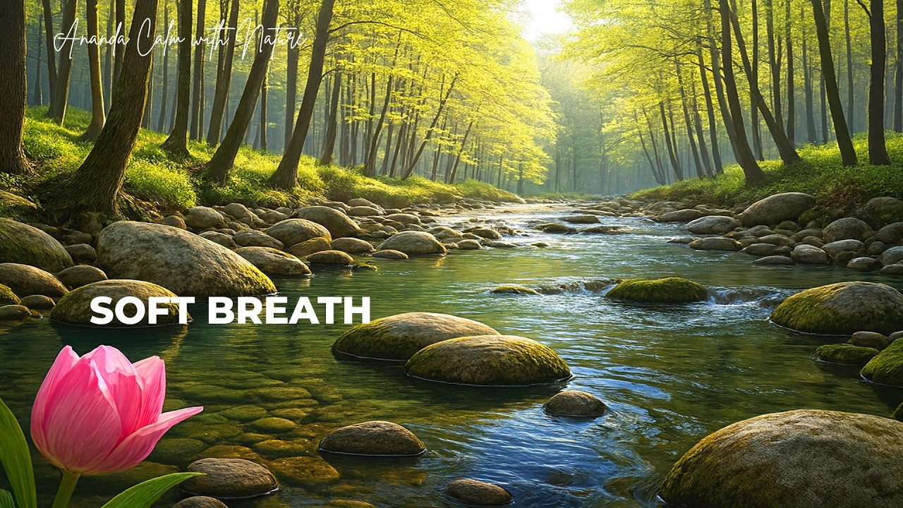 Calm Mind Music ✨ Night Routine Sounds for Deep Healing Sleep