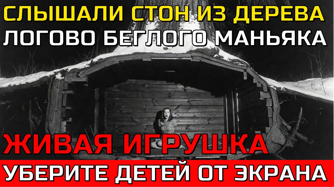 Он УТАЩИЛ ЕЁ в свою БЕРЛОГУ: Жуткая встреча СТУДЕНТКИ и ОДИЧАВШЕГО зека. Нашли ее спустя 20 ЛЕТ