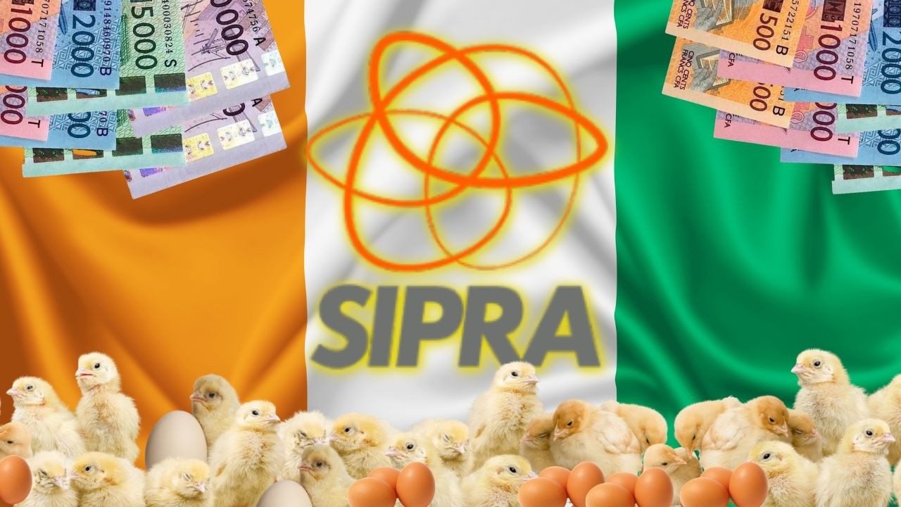 🇨🇮 L'Ascension de la SIPRA dans l'Économie Ivoirienne