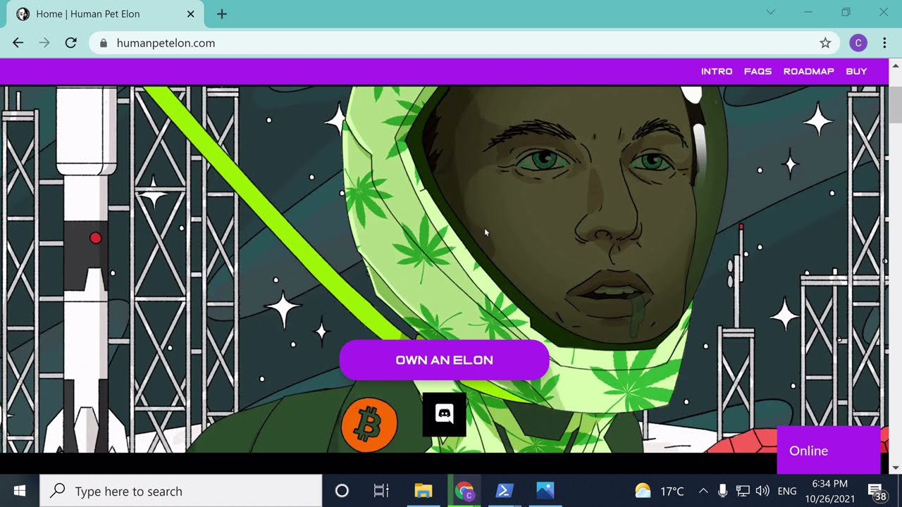Generate the images for your own NFT collection - Human Pet Elon style!!