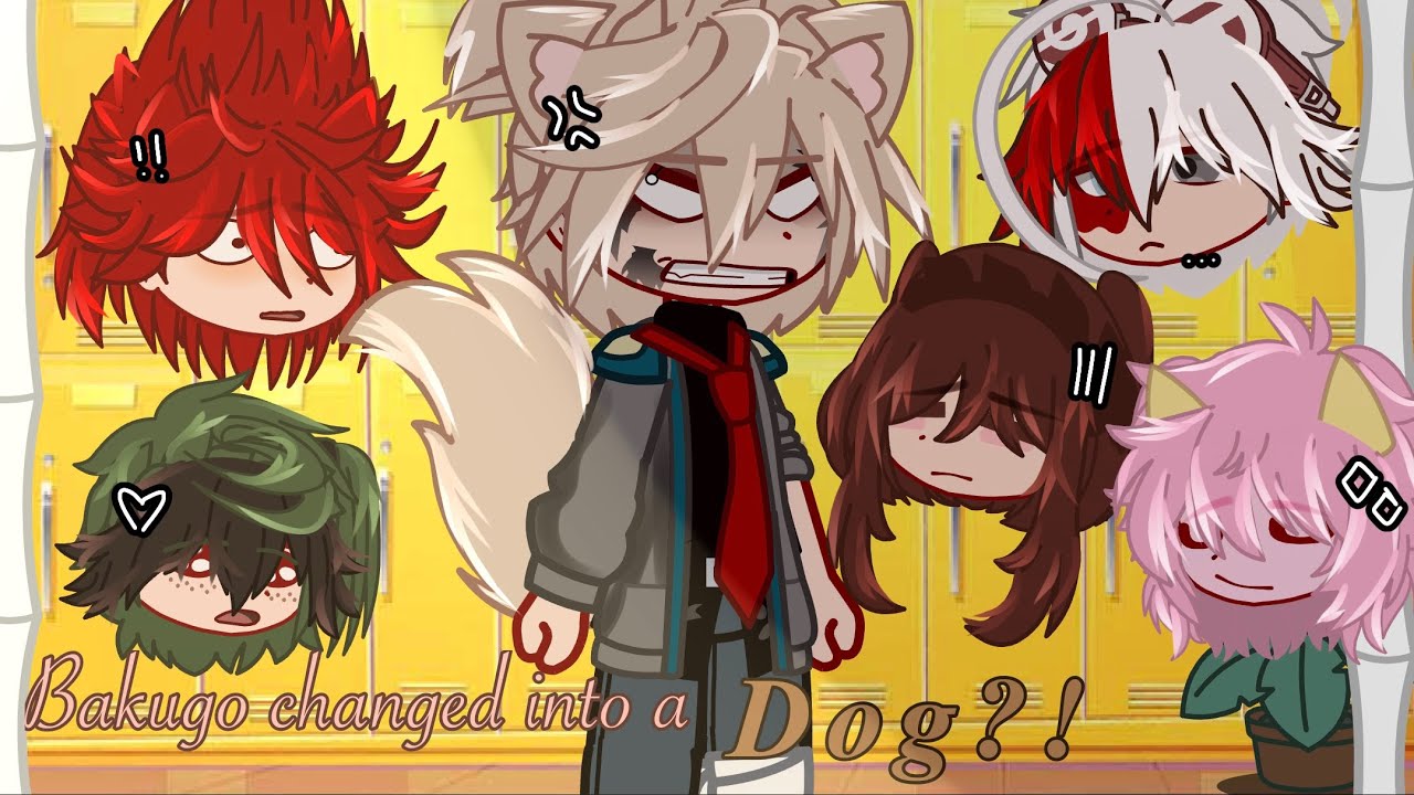 []Bakugo turns into a dog?![][]~bkdk~[][]short skit[][]MHA/BNHA[]