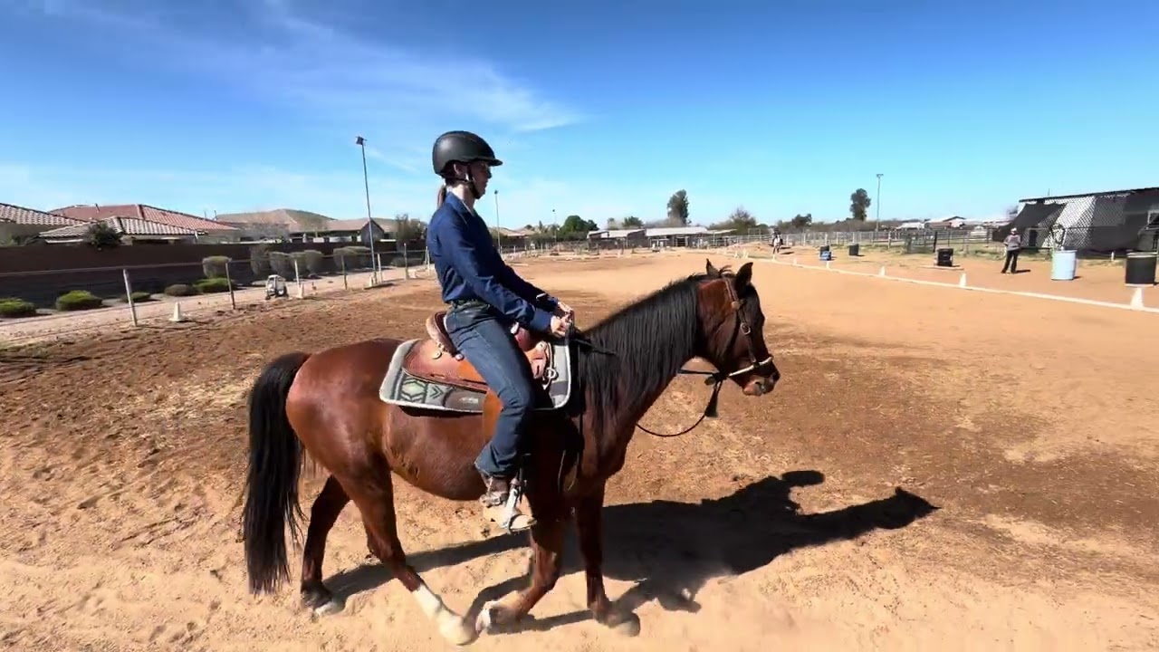 WDAAZ Heart My Horse McKenzie Fixel on Aregal Heights Trgr Intro 1-A 3/1/2026 