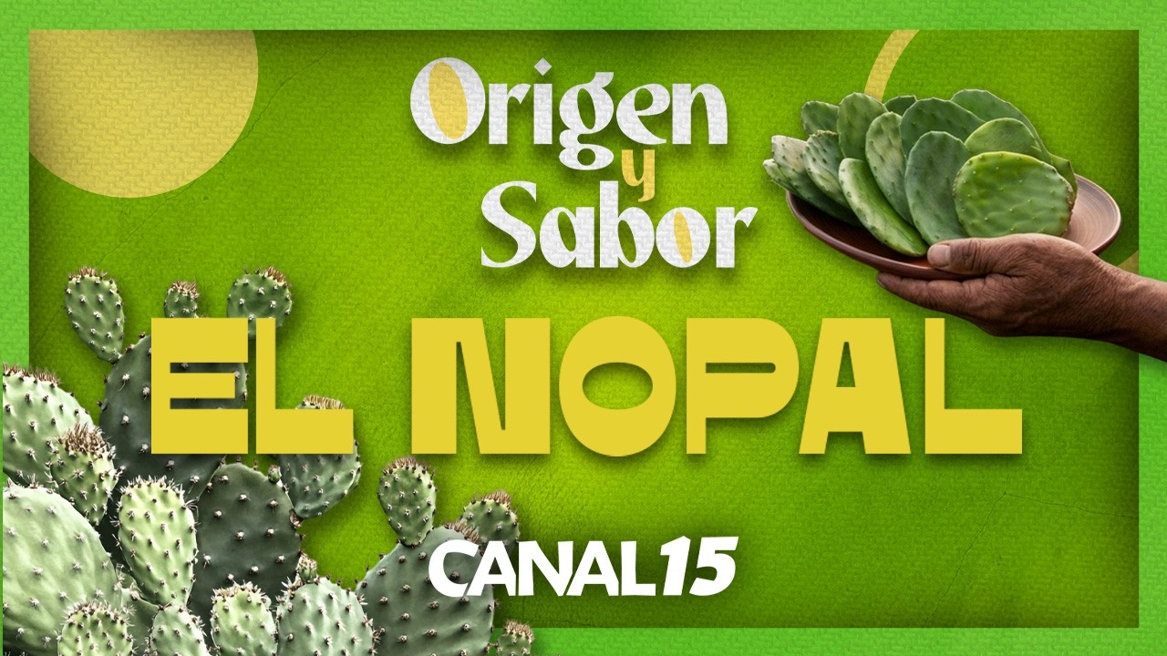 Origen y Sabor | El Nopal