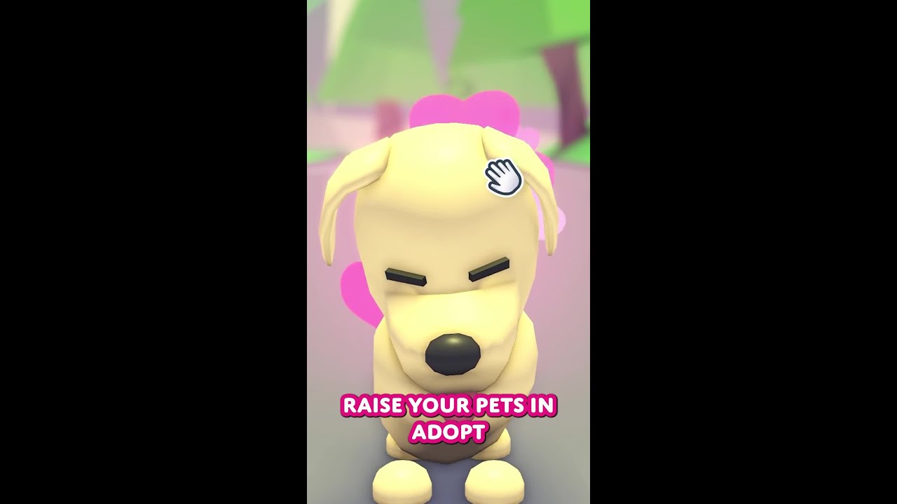 Everything you need to know about the Pet Pen! 🐾🏡
