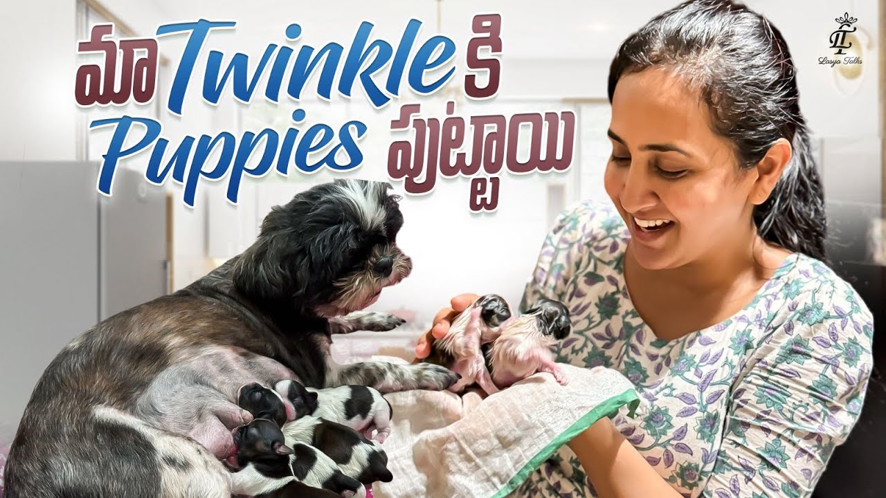 Our Pet Dog Delivery @Home || emotional Dog Birth Vlog || Maa Twinkle Ki Puppies Puttayi