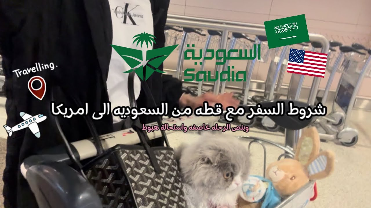 السفر مع قط من السعوديه إلى امريكا 🇸🇦✈️🇺🇸 واستحالة هبوط ب المطار  بسبب العاصفه 😣⛈️🥹