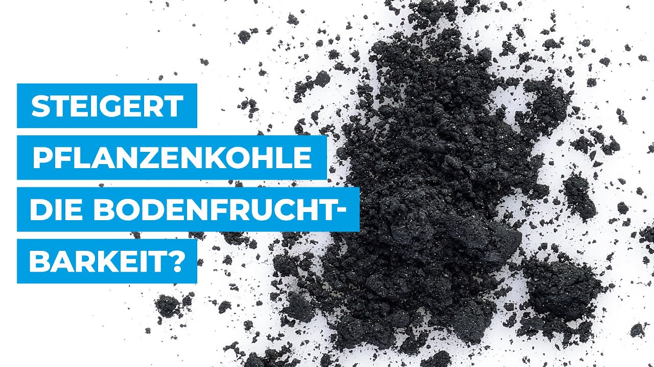 Steigert Pflanzenkohle die Bodenfruchtbarkeit?