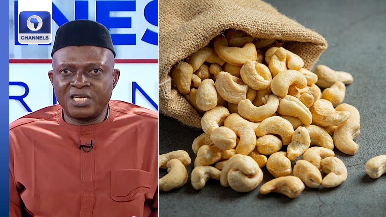 Nigeria’s $10 Billion Cashew Bet: Can The Country End Raw Exports?