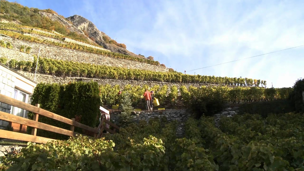 Les Vins du Valais -  Film avec Pierre Arditi.mp4