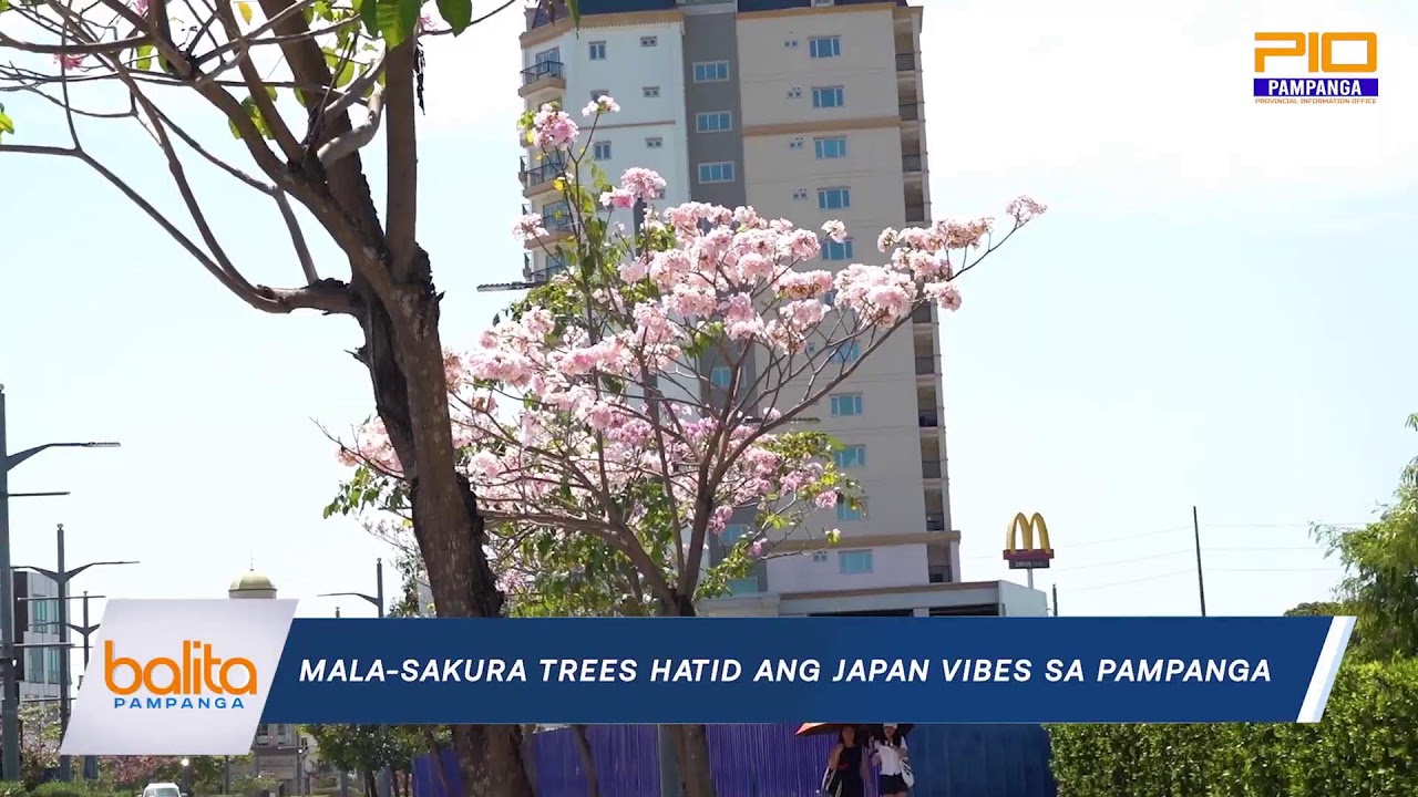 BALITA PAMPANGA  | MARCH 13, 2026