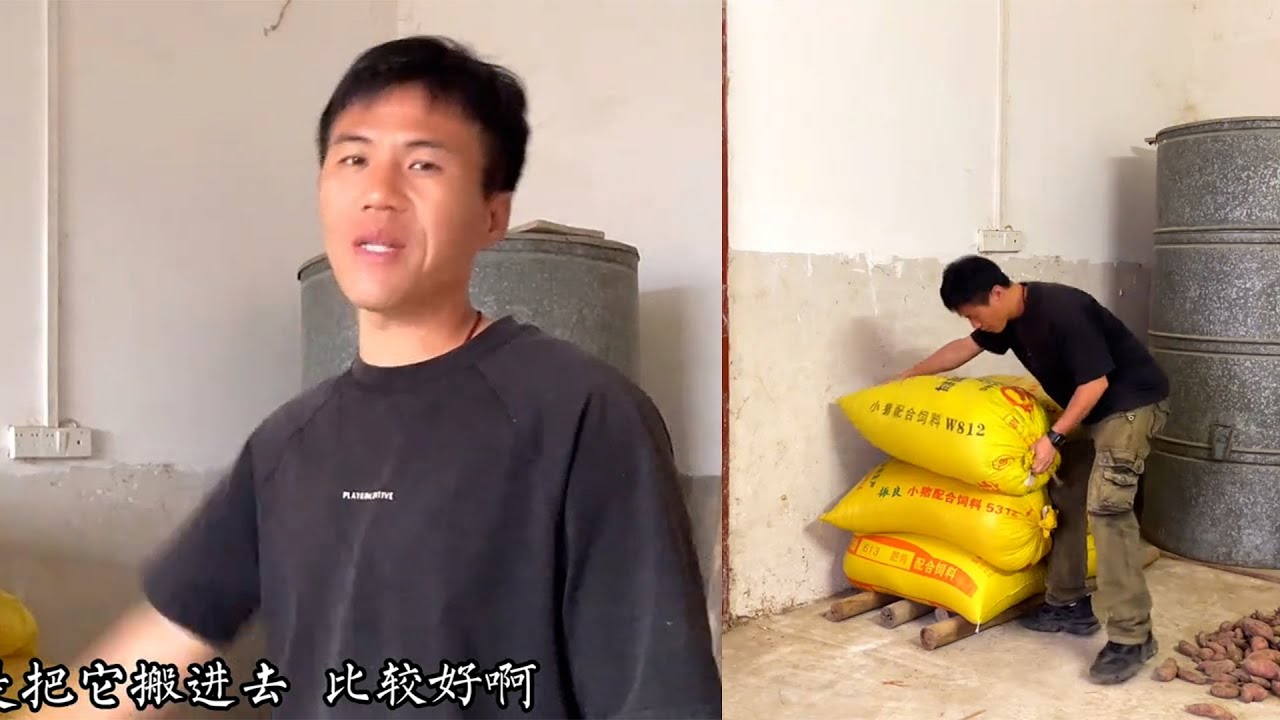 我的这几袋晚稻还是不能放这里了，得搬到房间里锁起来才行 。