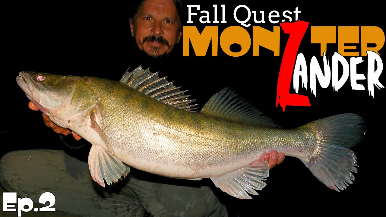 Fall Quest for a Monster Zander - Ep.2 - First BIG Zander is Here