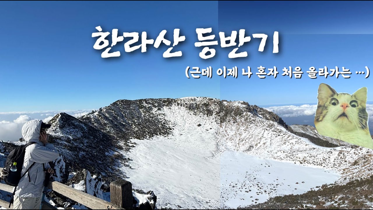 저질체력 여자 혼자 한라산 도전기(+제주공항 근처 힐링카페)