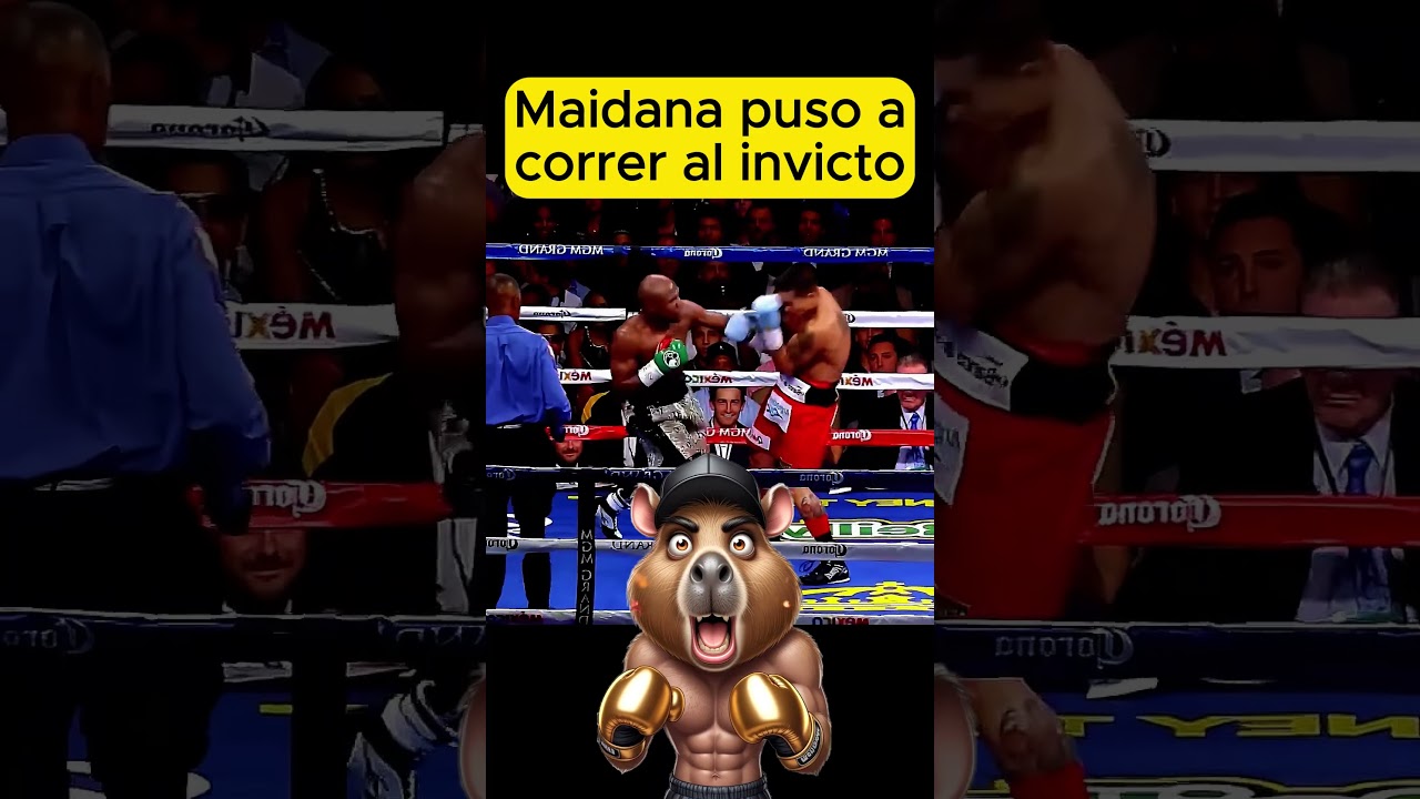 Maidana made the undefeated fighter run. #boxing #boxylucha #ufc #boxefitness #mma #reels #boxing...