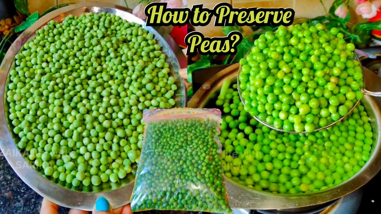 Frozen Matar Ghar Par Kaise Banayein?💯 Colour And Taste Lock Method 😱 Home Science🔥Store Green Peas😋