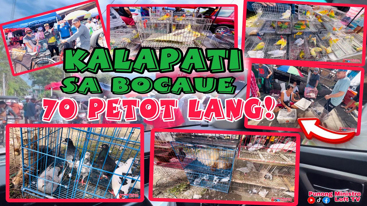 EP465 - NAPAKAMURA NG MGA KALAPATE SA BOCAUE PET MARKET!