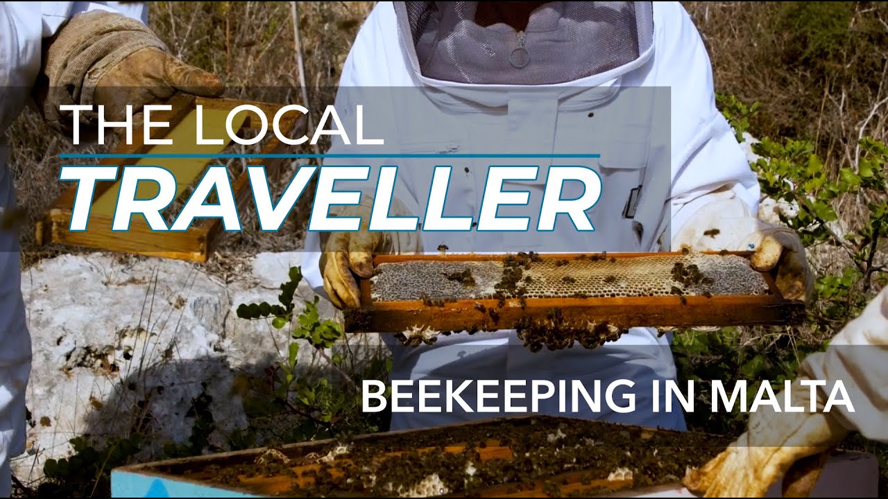 Sweet Maltese Honey & Beekeeping | EP: 8, part 2 | The Local Traveller with Clare Agius | Malta