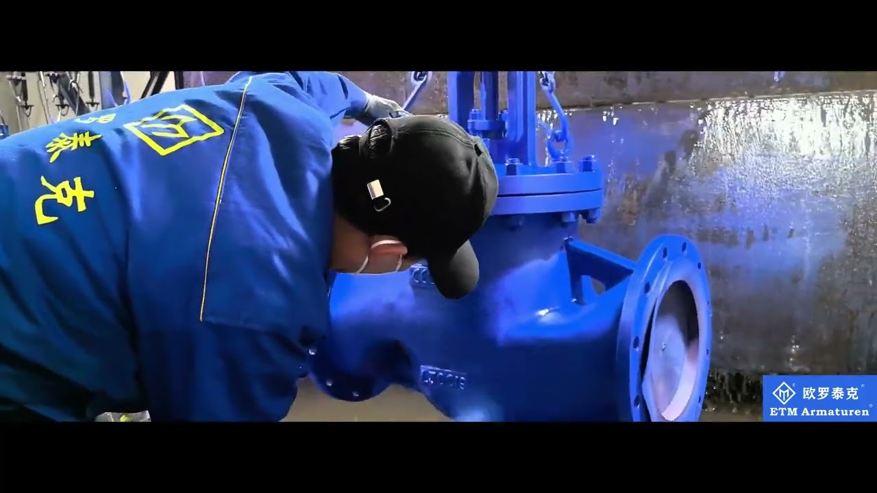 DIN & EN Gland Packing Globe Valve With ETM Armaturen Standard paint RAL 5002 .