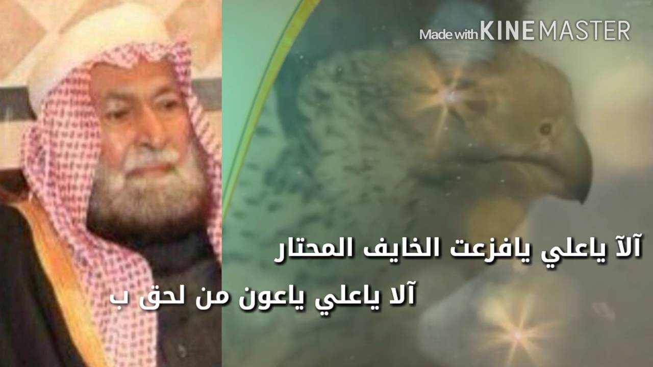 نخوة السجين سياف مهدي ال جميح موجهه إلى الشيخ علي بن جراب واولاده اداء عبدالهادي بن هضبه