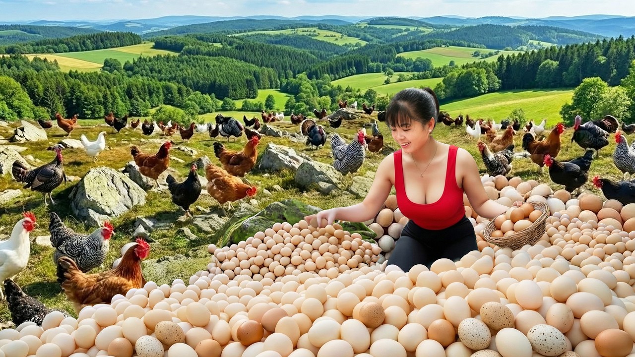[REWIND TIMELAPSE] Harvest A Lot Of Chicken Eggs, Ducks Eggs Go To Countryside Market Sell