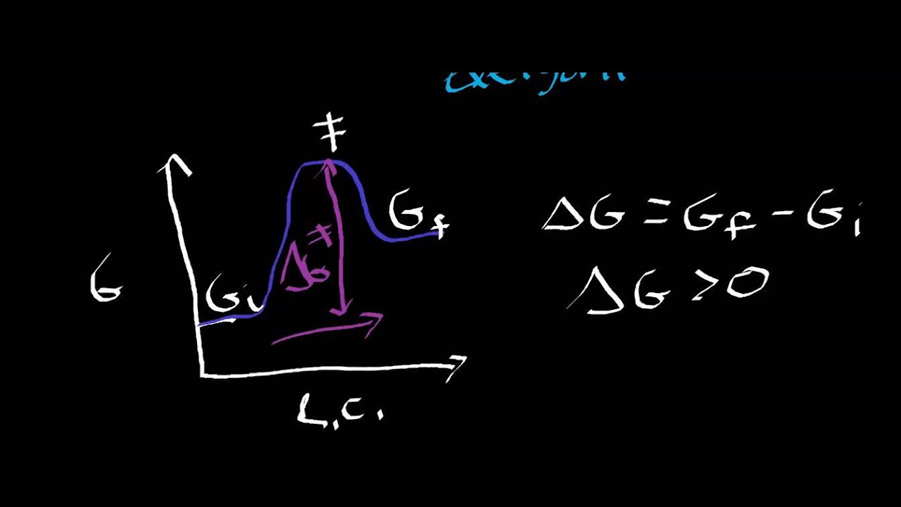Biochimica | Cinetica enzimatica (energia di attivazione ed energia libera di Gibbs)