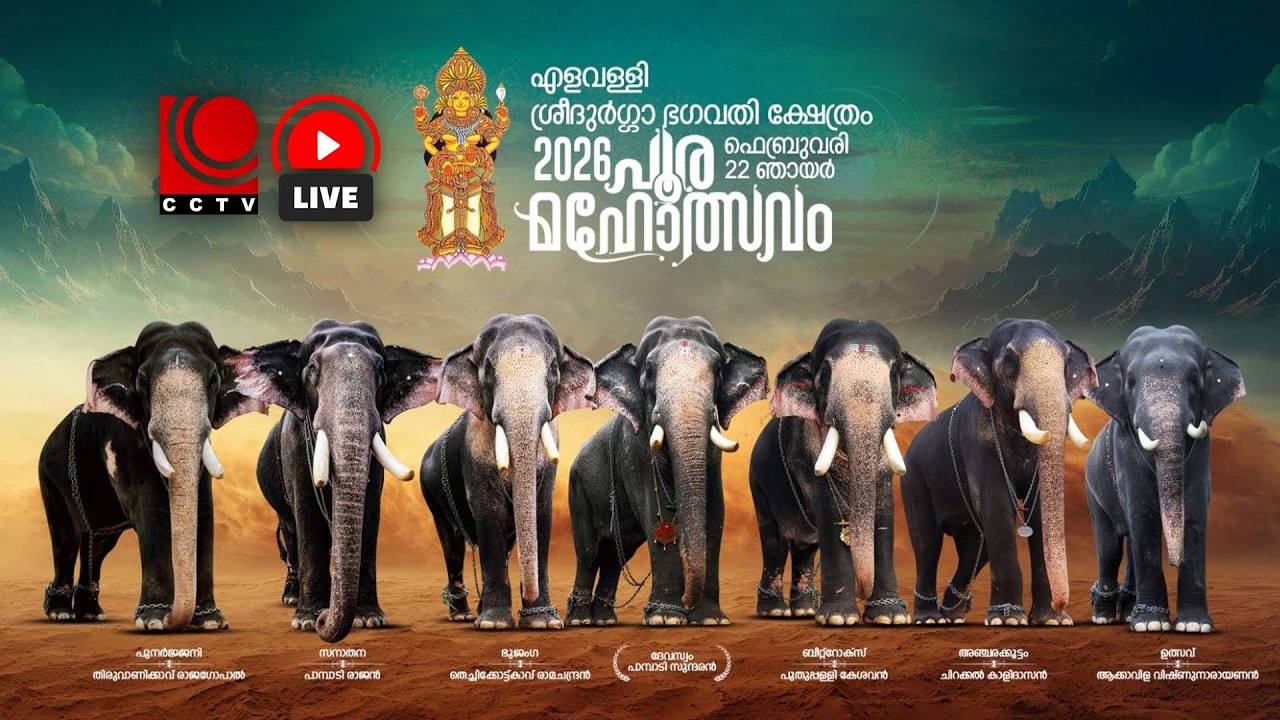 എളവള്ളി ശ്രീദുര്‍ഗാ ഭഗവതി ക്ഷേത്രത്തിലെ പൂര മഹോത്സവം | FEB -22 SUNDAY | LIVE | LIVE STREAMING
