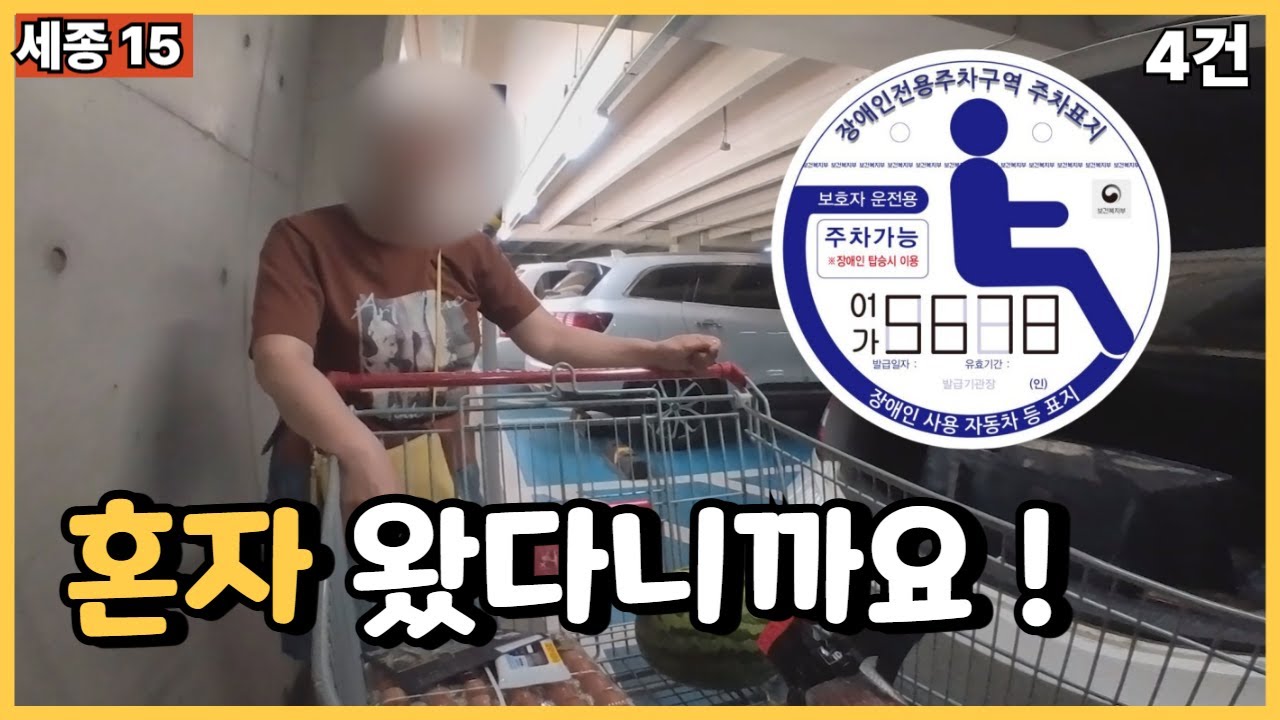 세종15. 무지와 신념 (장애인전용주차구역 주차표지 공문서위조, 위조공문서행사, 공문서부정행사) 1080만원