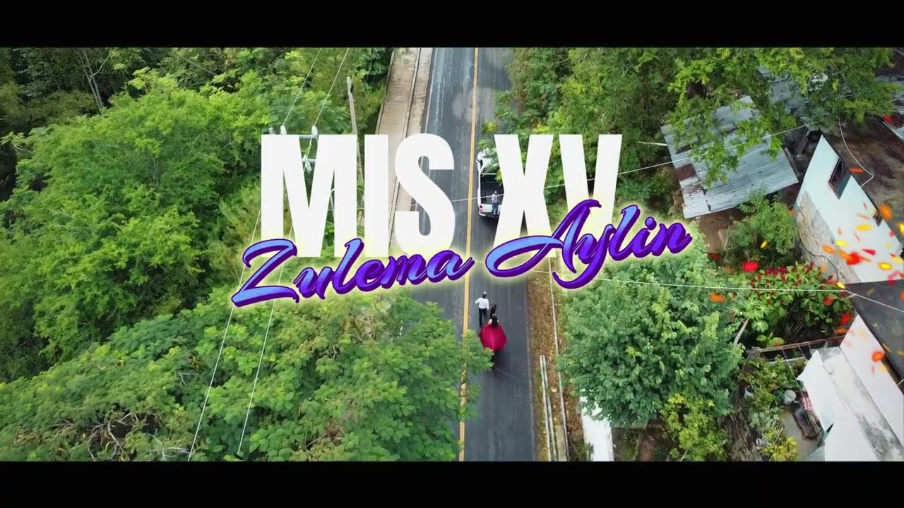 XV Zulema Aylin | Resumen
