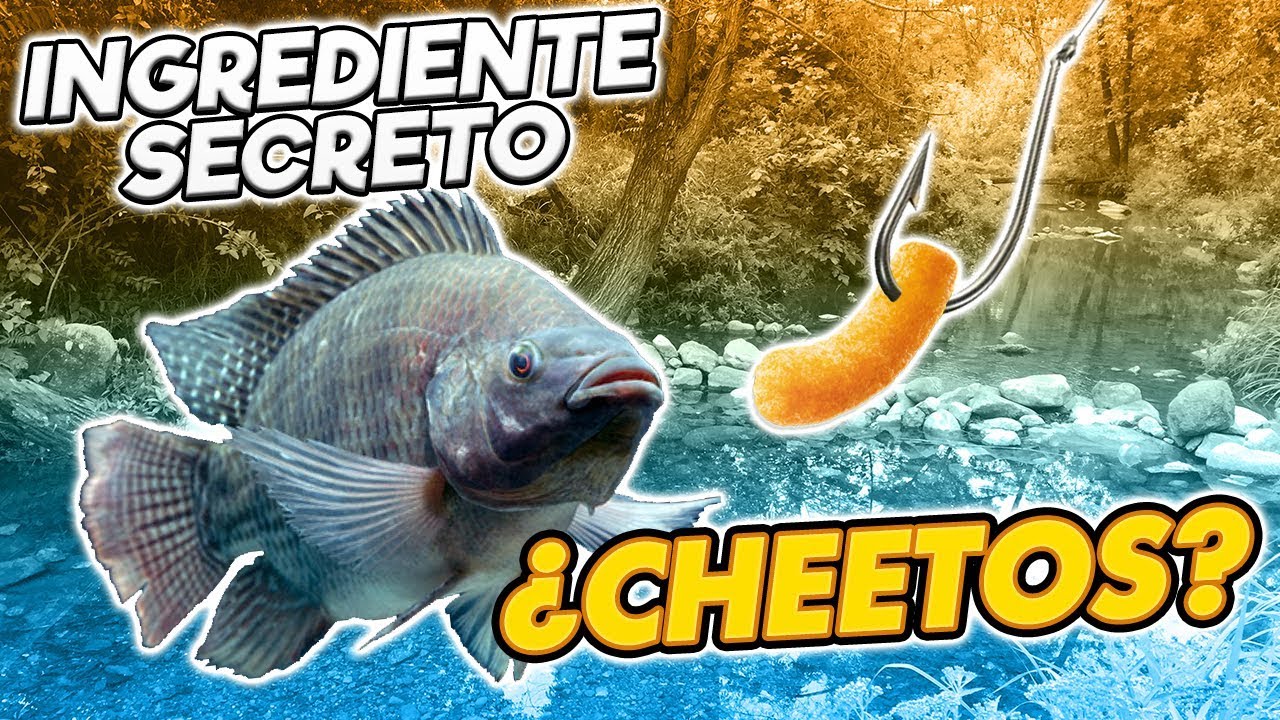 CARNADA PARA MOJARRAS