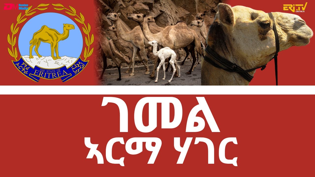 ገመል - ኣርማ ሃገር | Camel - Eritrean emblem - ERi-TV