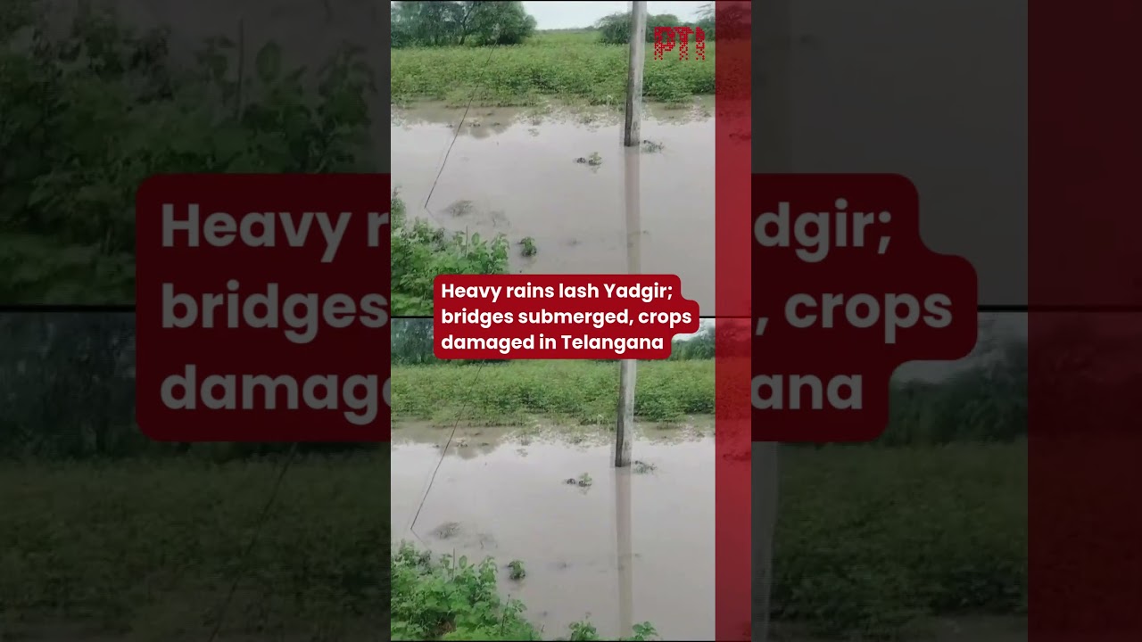 Heavy rains lash Yadgir; bridges submerged, crops damaged in Telangana